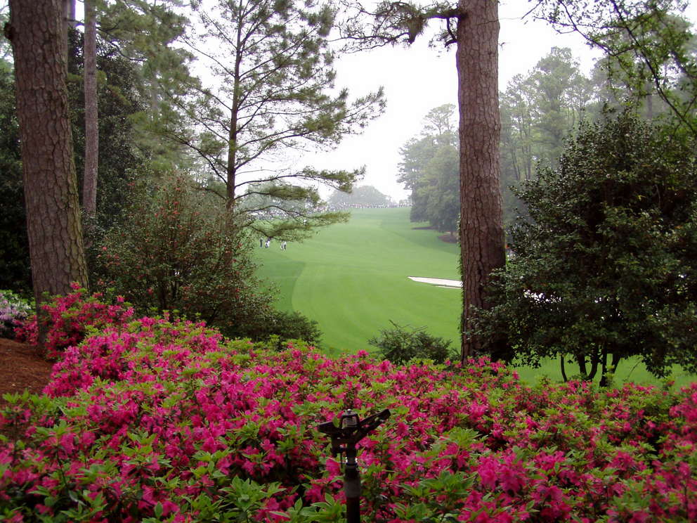 Augusta-Richmond County, GA: Augusta National Golf Club