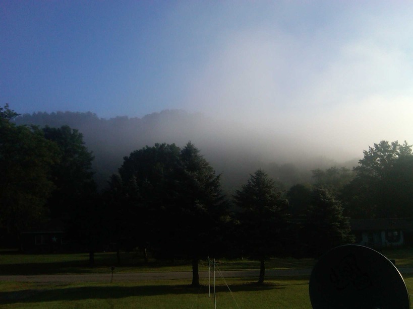 Amsterdam, OH: My front yard view in Amsterdam,Ohio a foggy day