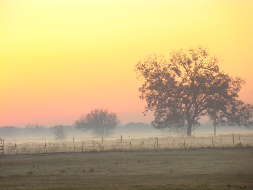 Collinsville, TX Looking North down Broadway photo, picture, image