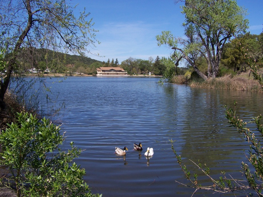Atascadero, CA: Atascadero Lake