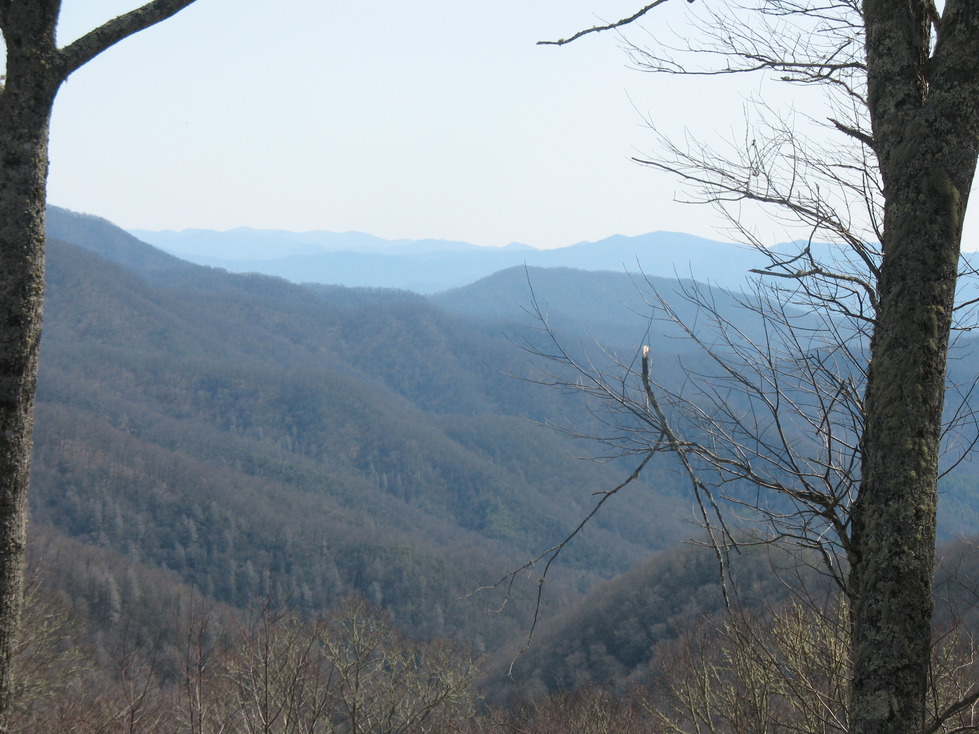 Swannanoa, NC Magesty photo, picture, image (North Carolina) at city