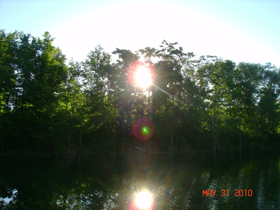 Holley, NY: This is the pond next to the park in Holley It's a great fishing hole...