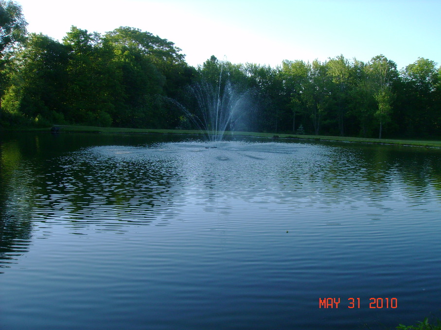 Holley, NY: This is the pond next to the park in Holley It's a great fishing hole...