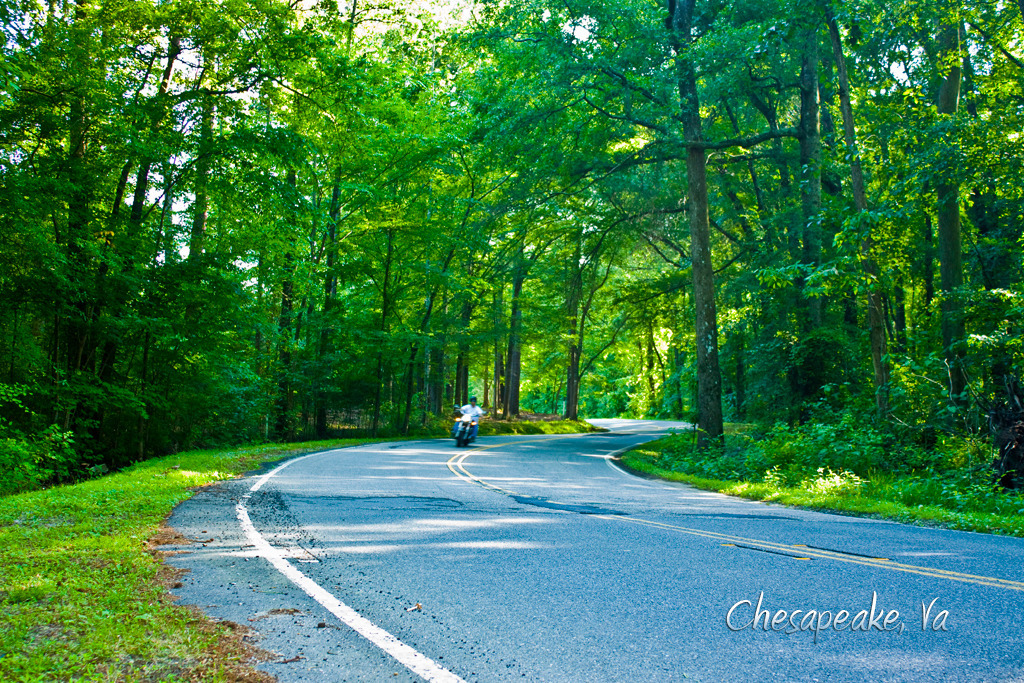Chesapeake, VA: The backroads of Chesapeake, are a hidden gem.