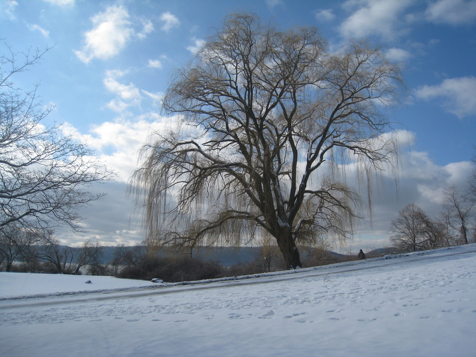 Croton-on-Hudson, NY: Croton Point Park in the Winter