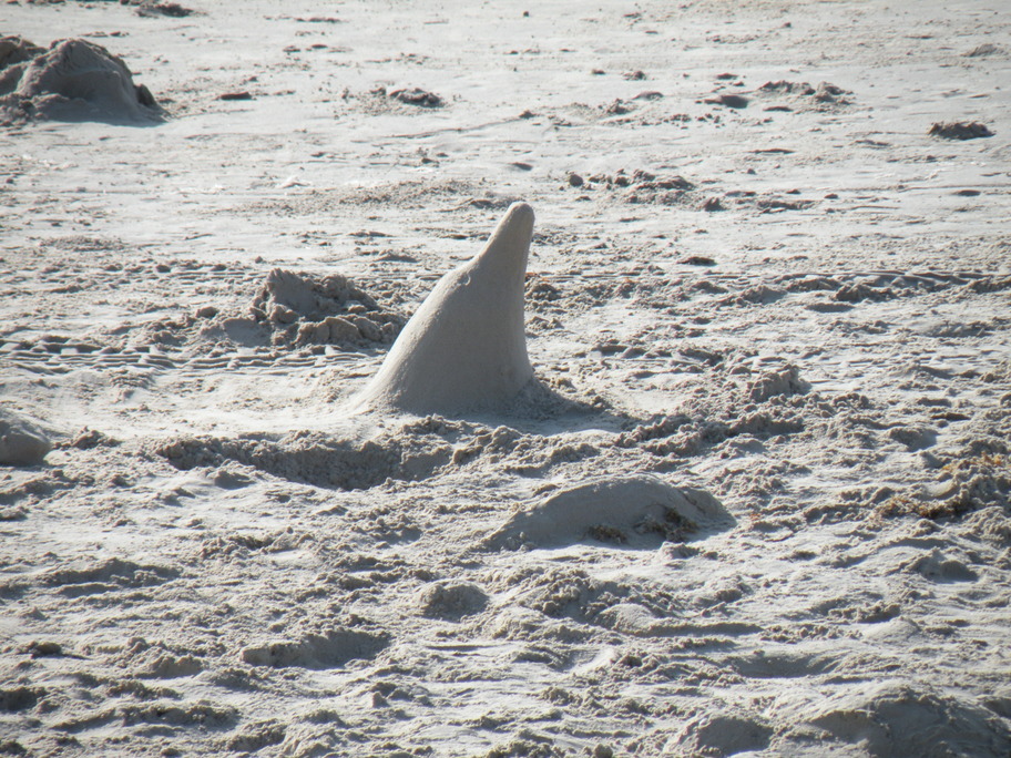 Corpus Christi, TX: Sand Sharks on the Beach at Corpus Christi