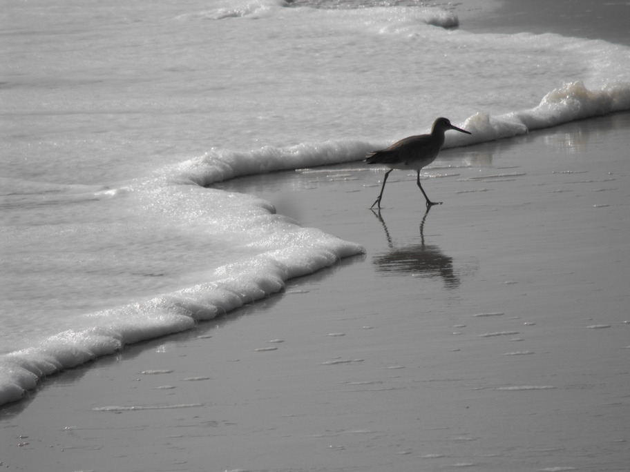 North Topsail Beach, NC: simple beauty topsail island nc