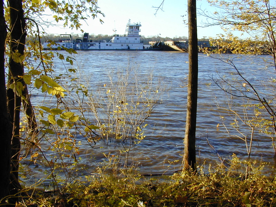 Shelby Forest, TN: The River