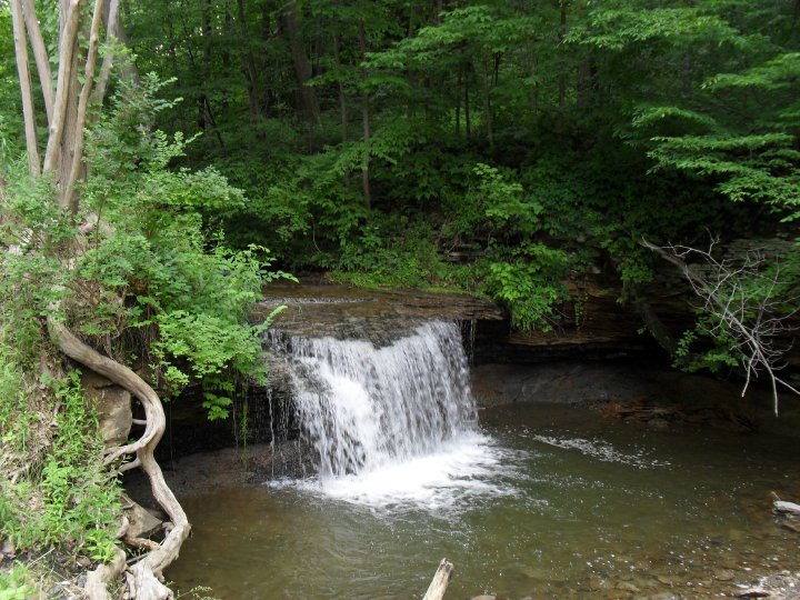 Beaver, PA: water fall found in the woods on beaner hollow road