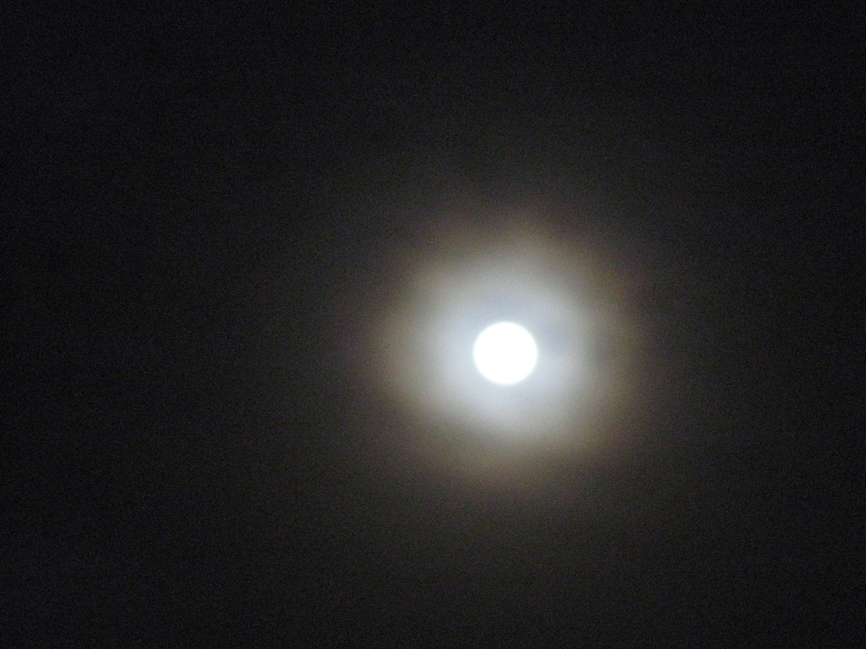 Waconia, MN: Wolf Moon Over Waconia, MN
