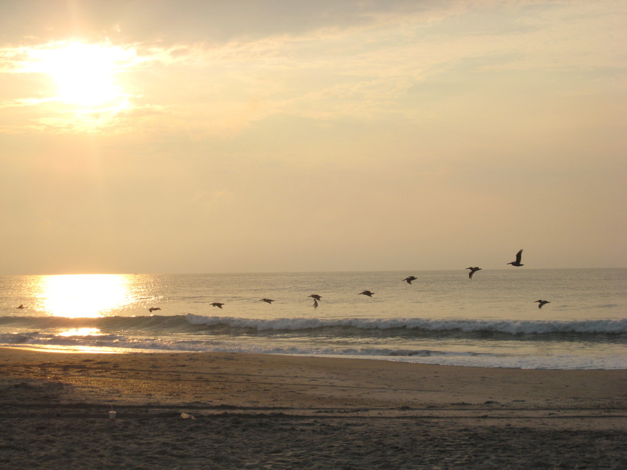 Wrightsville Beach, NC: Sunrise Pelicans