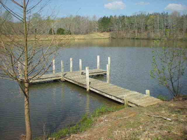 Cedar Grove, TN: My resting place - Mr. Gilead Lake, Cedar Grove, TN 38321