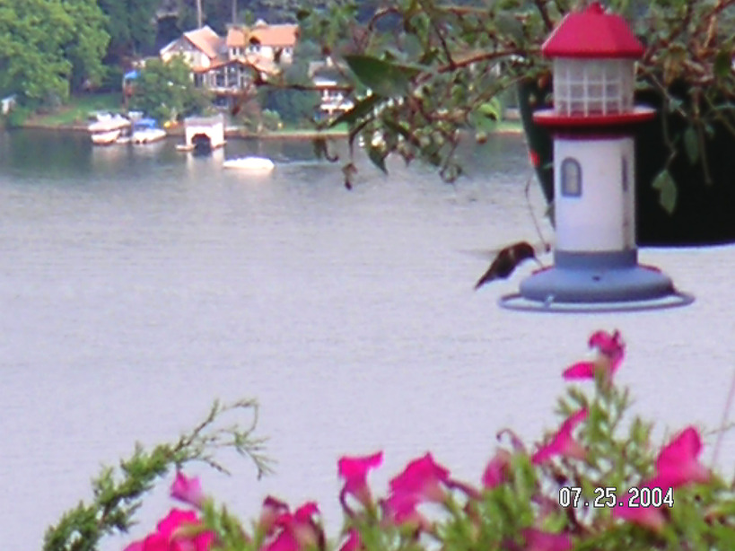 Lake Mohawk, NJ: Humming Bird Hill Views