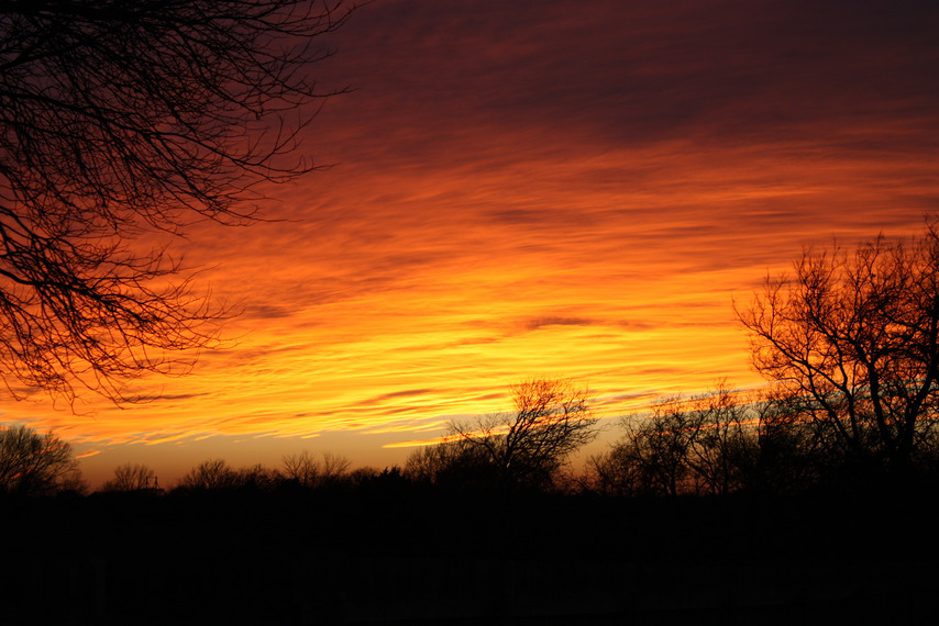 Oak Leaf, TX: Summer's Night 2010