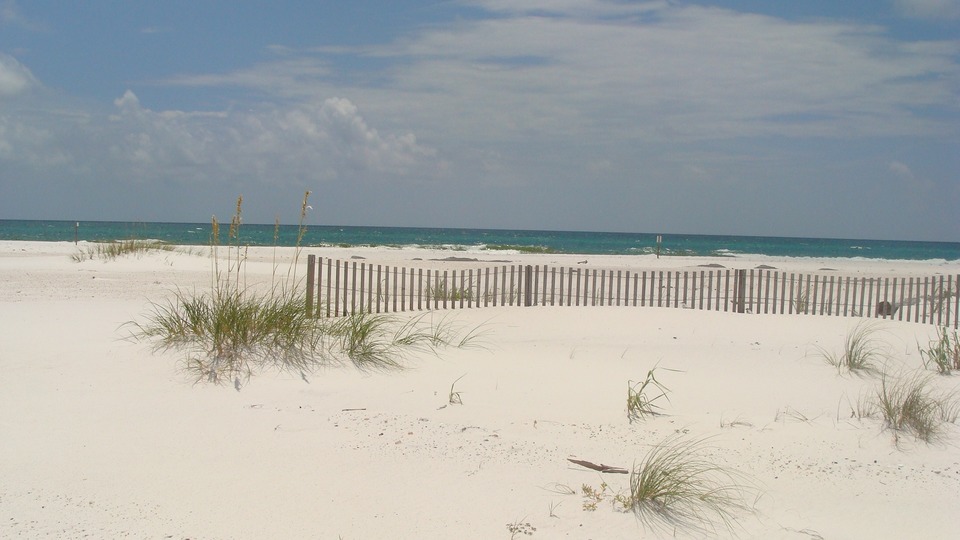 Pensacola, FL: The Beach Fence