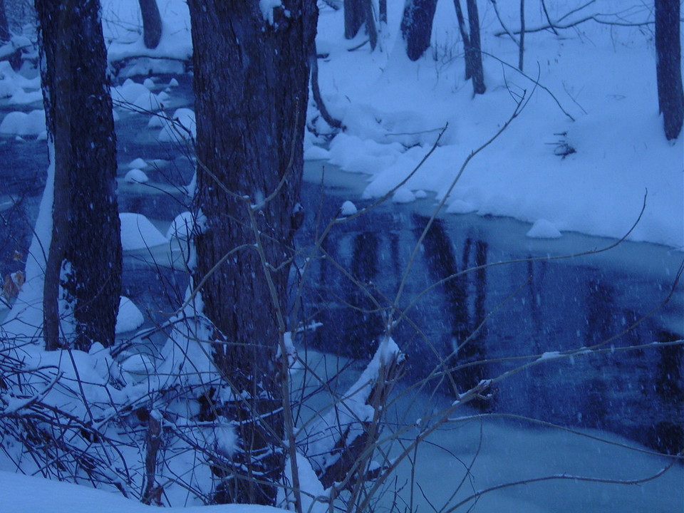 Bethel, CT: Local Brook in Snow Storm