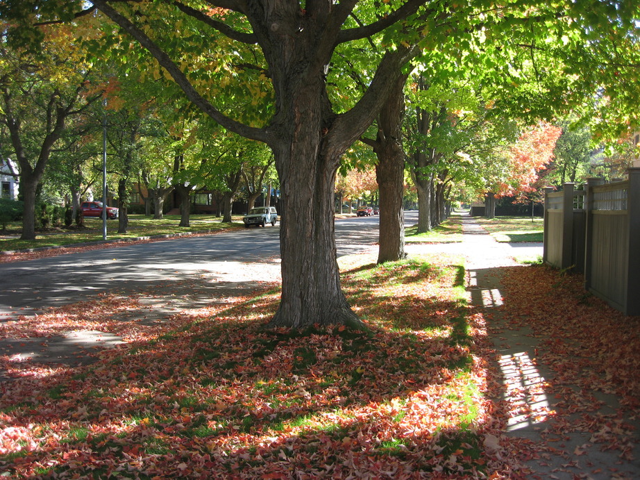 Missoula, MT: Missoula near the campus, Fall 2010