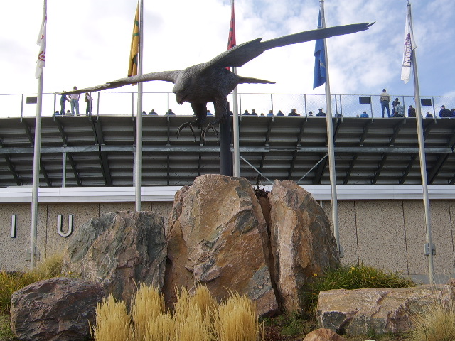 Air Force Academy, CO: The Falcon