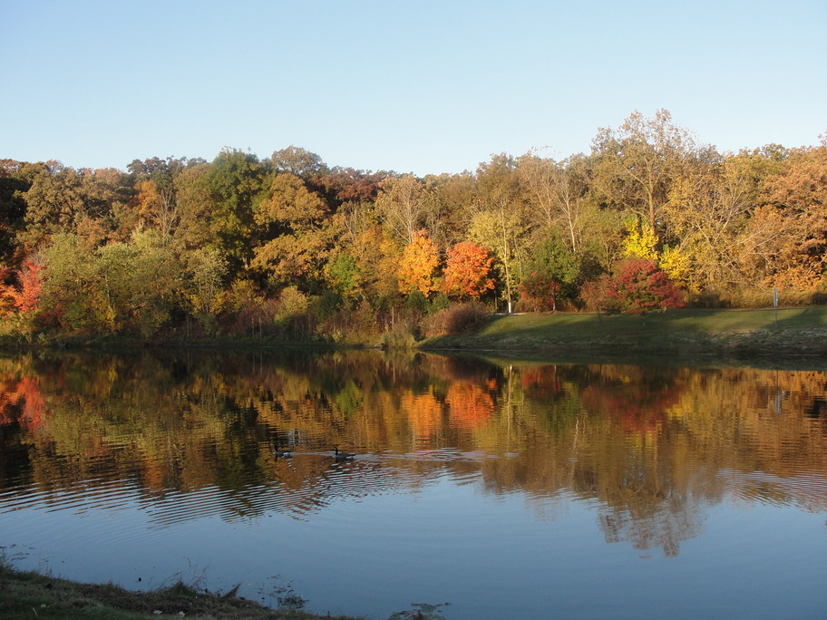 Orland Park, IL: Fall Morning on Ravinia - October 2010