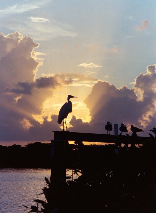 Matlacha, FL: Matlacha at Sunset