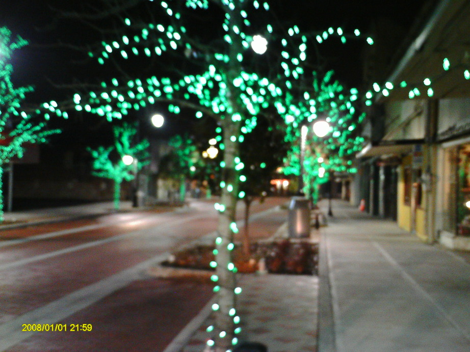 Sulphur Springs, TX: Fall Festival, Hopkins County Civic Center grounds, 2010