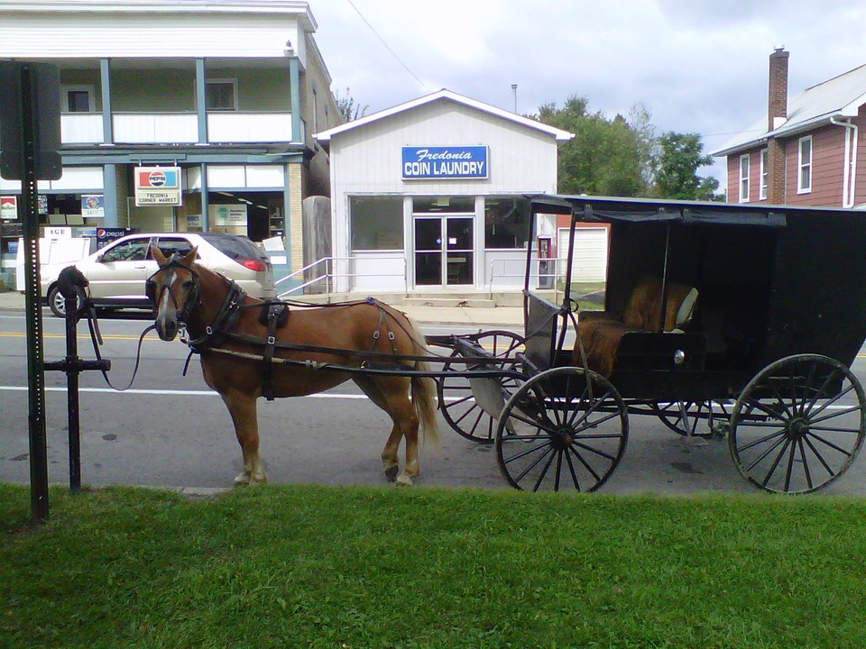 Fredonia, PA: Amish Carriage & Horse, Fredonia, PA