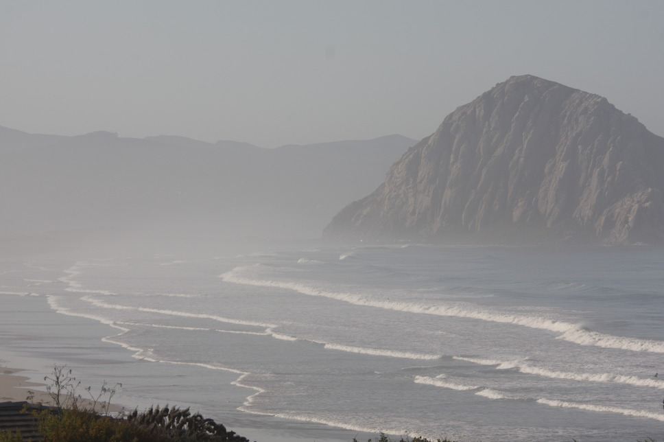 Morro Bay, CA: Lots to find on the beach