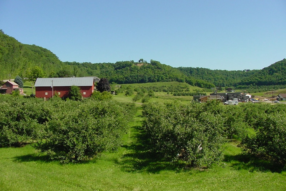 La Crescent, MN: Apple Orchard
