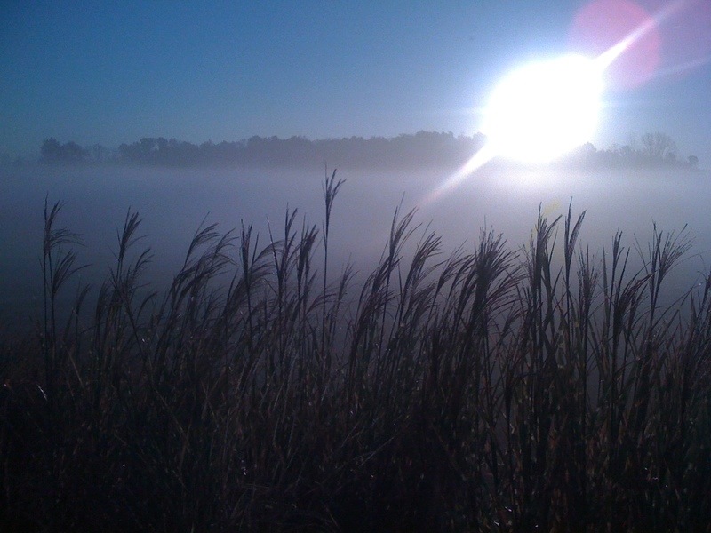 Marysville, OH: Sunrise in mist just south of town