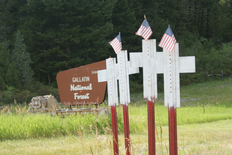 Bozeman, MT: gallitin national forest