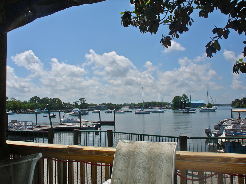 Crystal River, FL: View of Kings Bay From Crackers