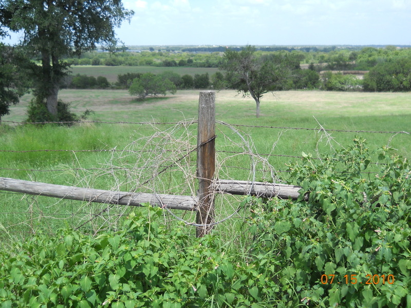 Elgin, TX View from a top the hill near the Southwest Stallion