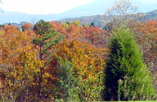 Seymour, TN: Seymour: Sevier count...a beautiful view of the mountains (taken in Fall)
