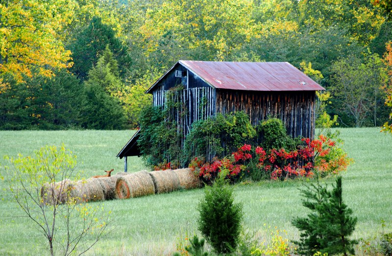 Hurt, VA Old barn photo, picture, image (Virginia) at