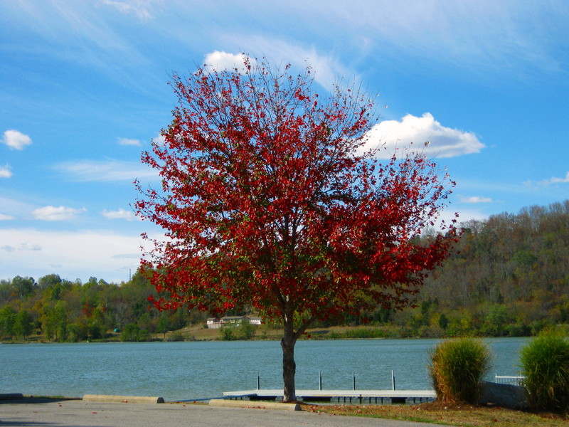 Warsaw, KY: Warsaw Riverside Park Autumn Colors - On the Ohio River