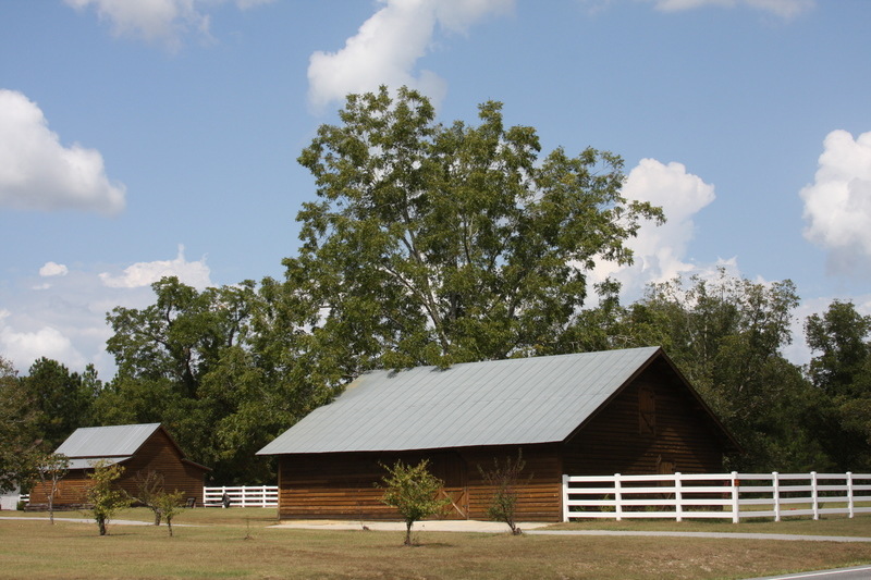 Metter, GA Metter Farmland photo, picture, image at city