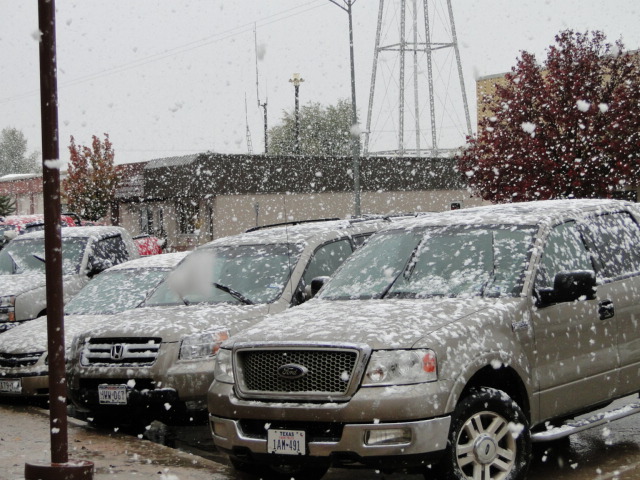 Booker, TX: Huge Snowflakes in Booker Nov12, 2010 Main Street in front of FirstBank Southwest