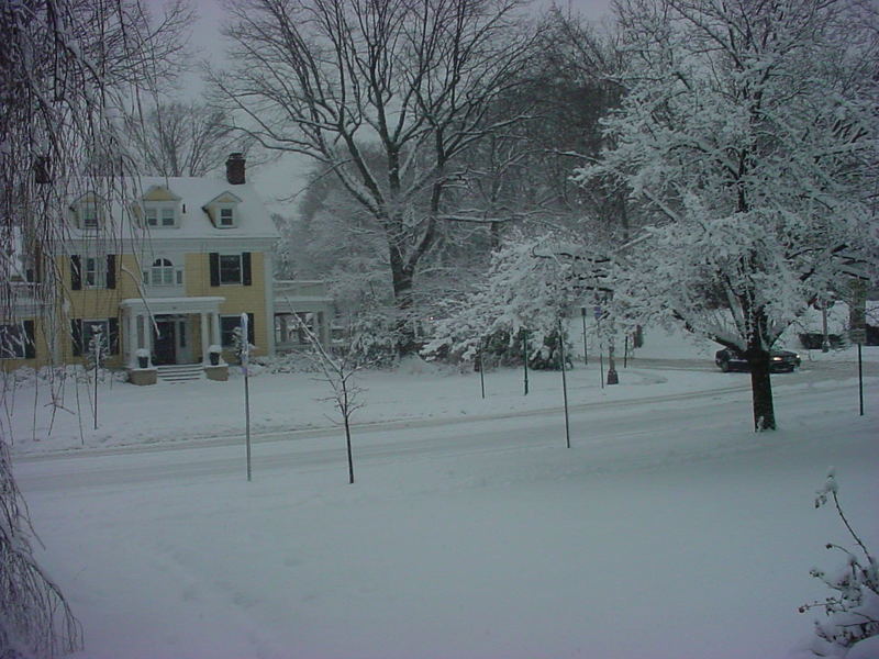 Glen Ridge, NJ: Ridgwood Avenue February 2010