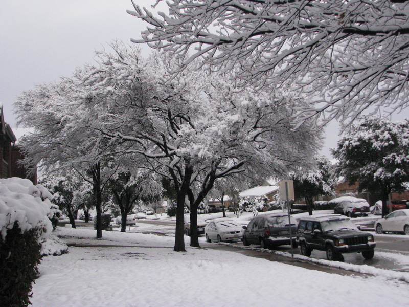 Carrollton, TX: Carrollton - Snowstorm 2010