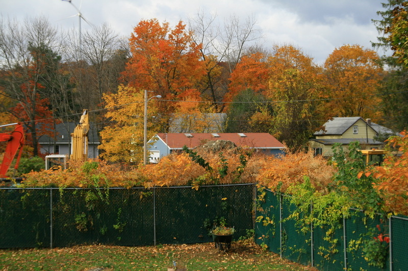 Worcester, MA: fall color on massasoit road