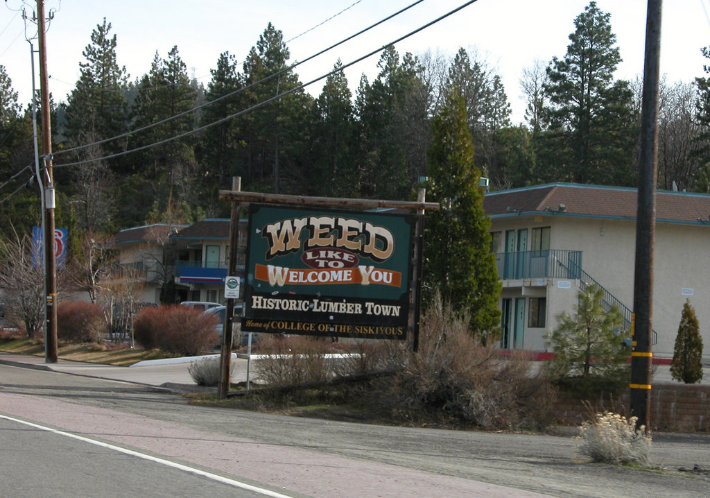 Weed, CA: weed welcome sign