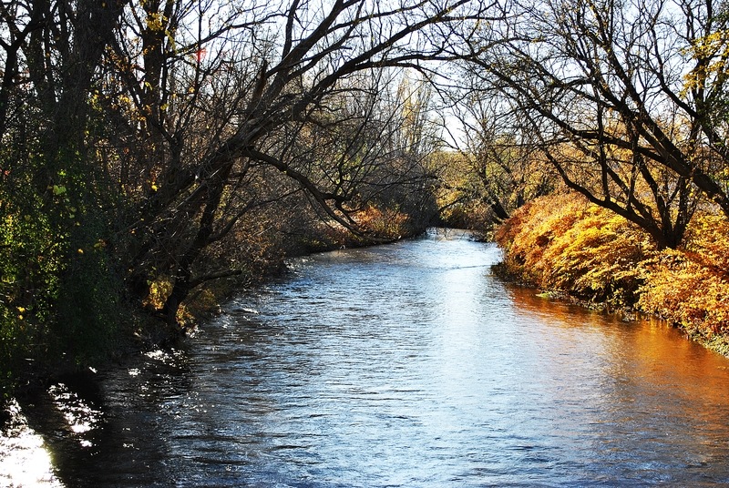 Whitesboro, NY saquoit creek off main st bridge photo, picture, image