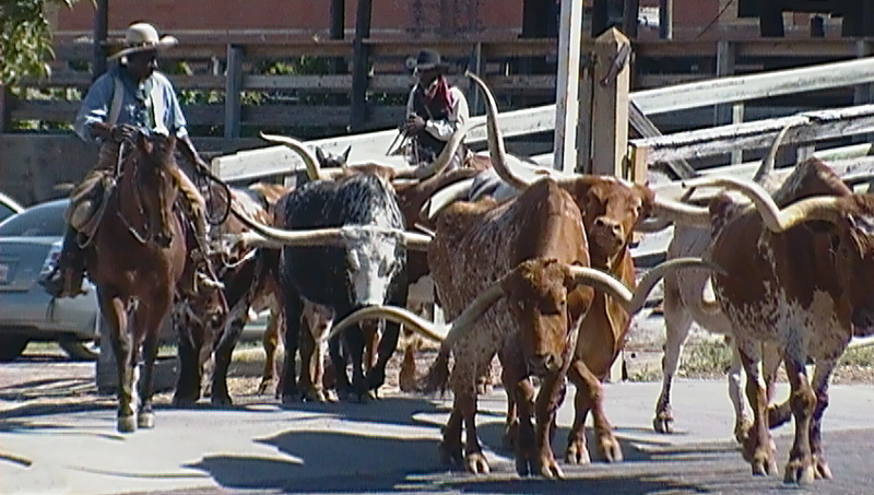 Blackfoot, ID: Fort Worth Stockyards Fort Worth, TX