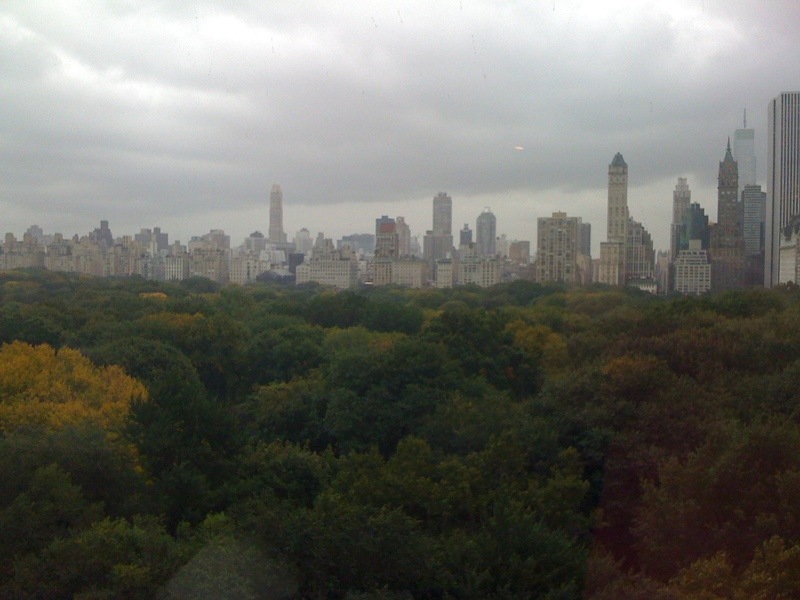 New York, NY: Central Park from Trump Tower