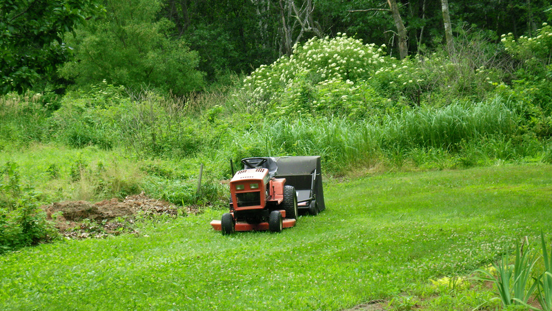 Packwaukee, WI: The colors of summer in the heart of rural packwaukee wisconsin