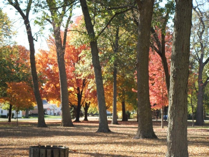 Ashkum, IL a view from the park photo, picture, image (Illinois) at