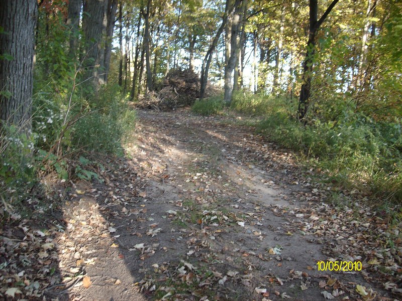 Hemlock, MI: Hemlock Park's path.