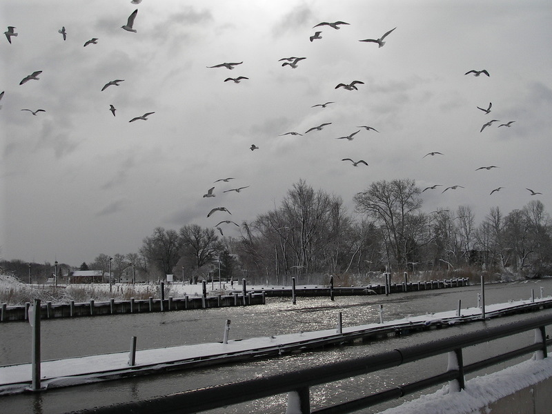 Delaware City, DE: Old Canal in Winter- Feb. 2010
