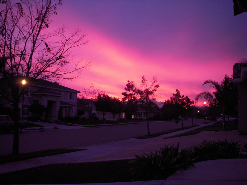 Brentwood, CA: my street on dec 15 2010