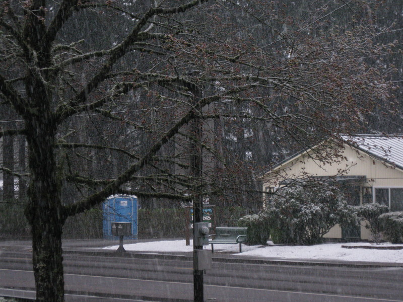Lyons Or Lyons City Hall In The May Snow Photo Picture Image Oregon At City